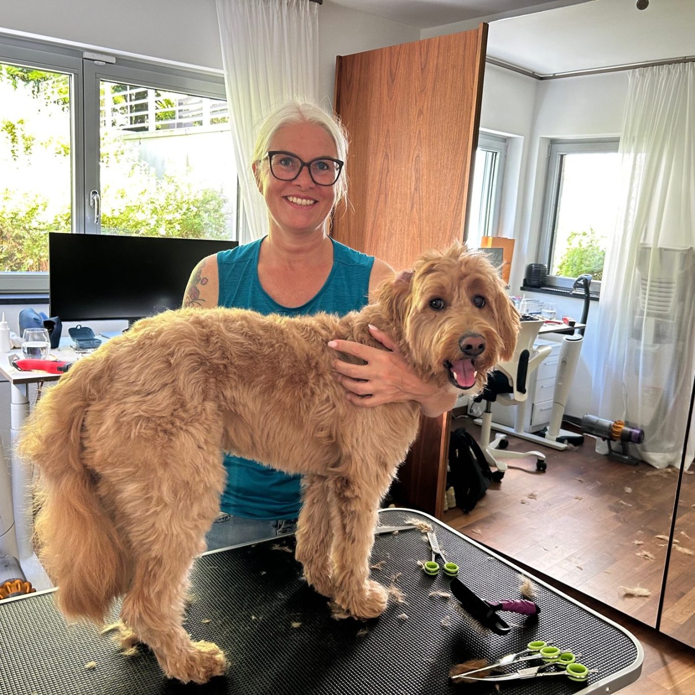 Hundefriseur Köln mobil 